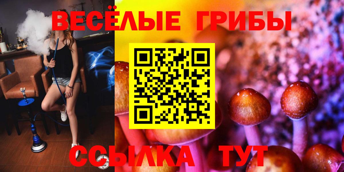 Псилоцибиновые грибы мухоморы  Вход с VPN  Серов 